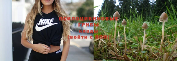 крисы Алексеевка