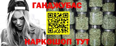 индика Гай