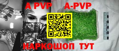индика Гай