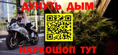 индика Гай