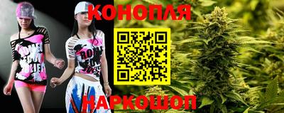 индика Гай