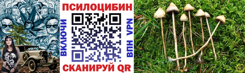 Псилоцибиновые грибы мицелий  купить наркоту  Белореченск 