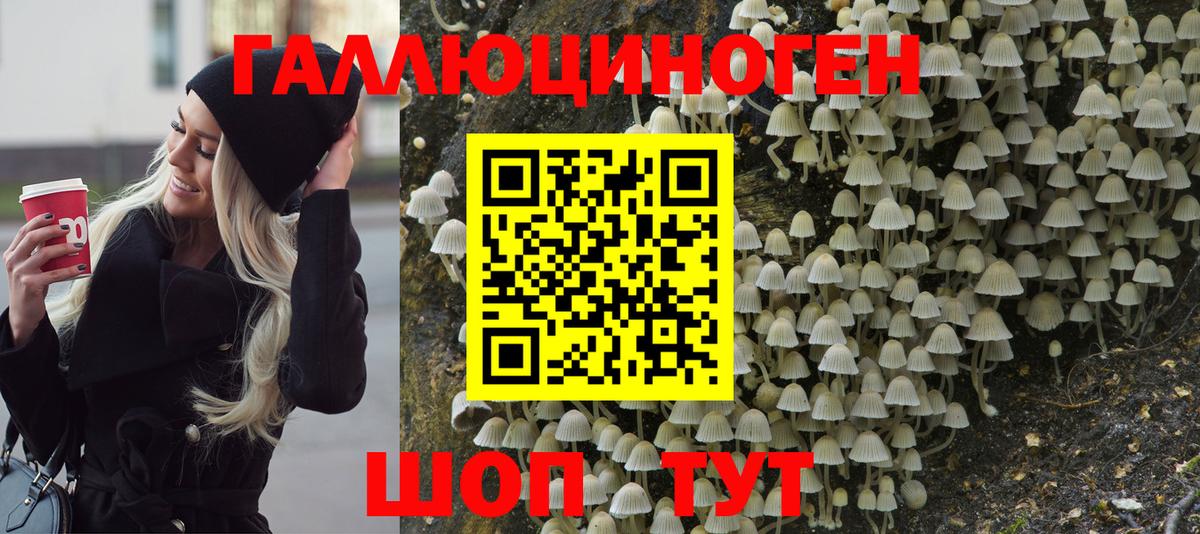 Псилоцибиновые грибы прущие грибы Белореченск